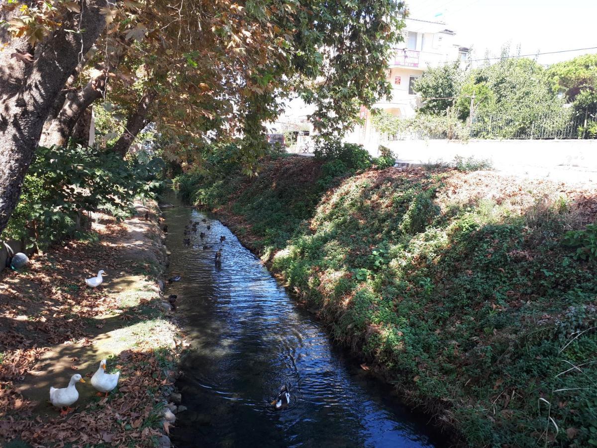 Samos Apart Pension Güzelçamlı Eksteriør bilde