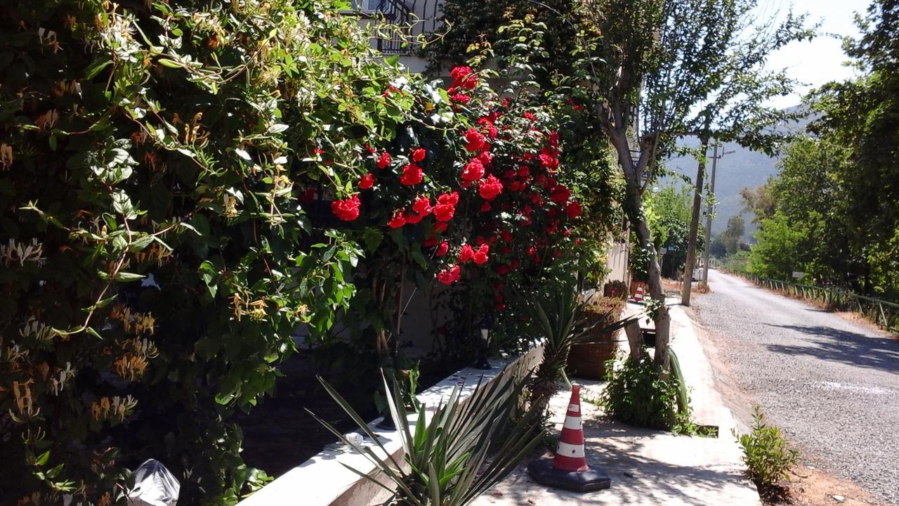 Samos Apart Pension Güzelçamlı Eksteriør bilde